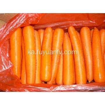 ახალი Carrot L ზომა